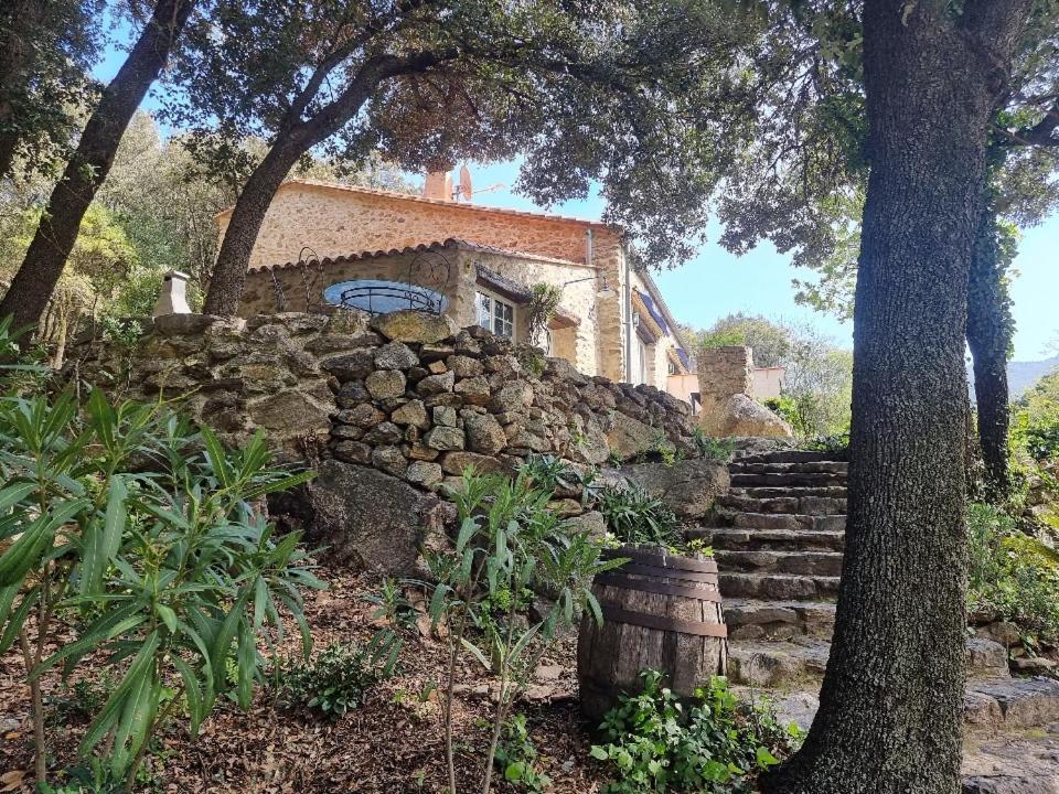 הוילה Sorède La Bergerie מראה חיצוני תמונה