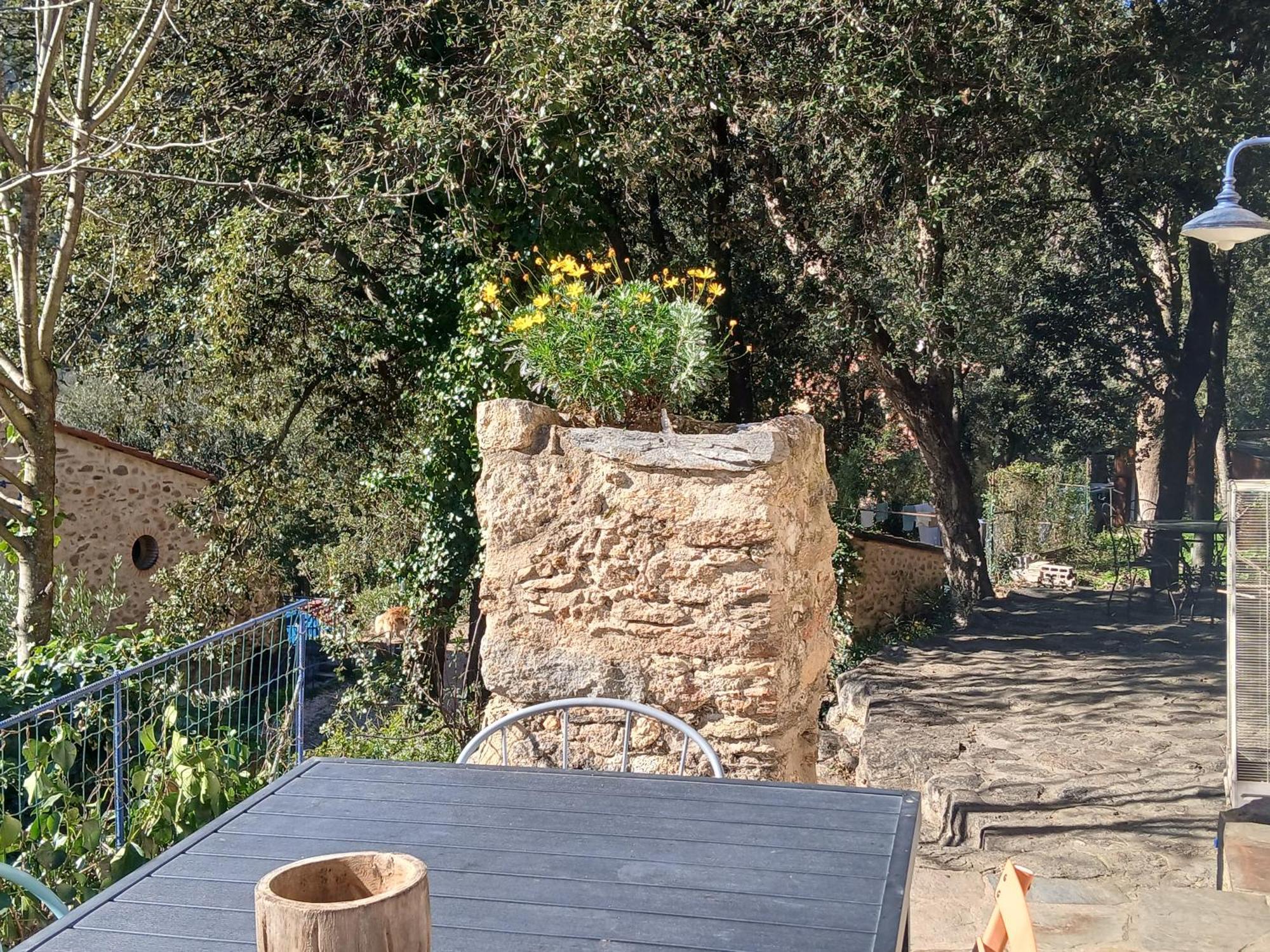 הוילה Sorède La Bergerie מראה חיצוני תמונה