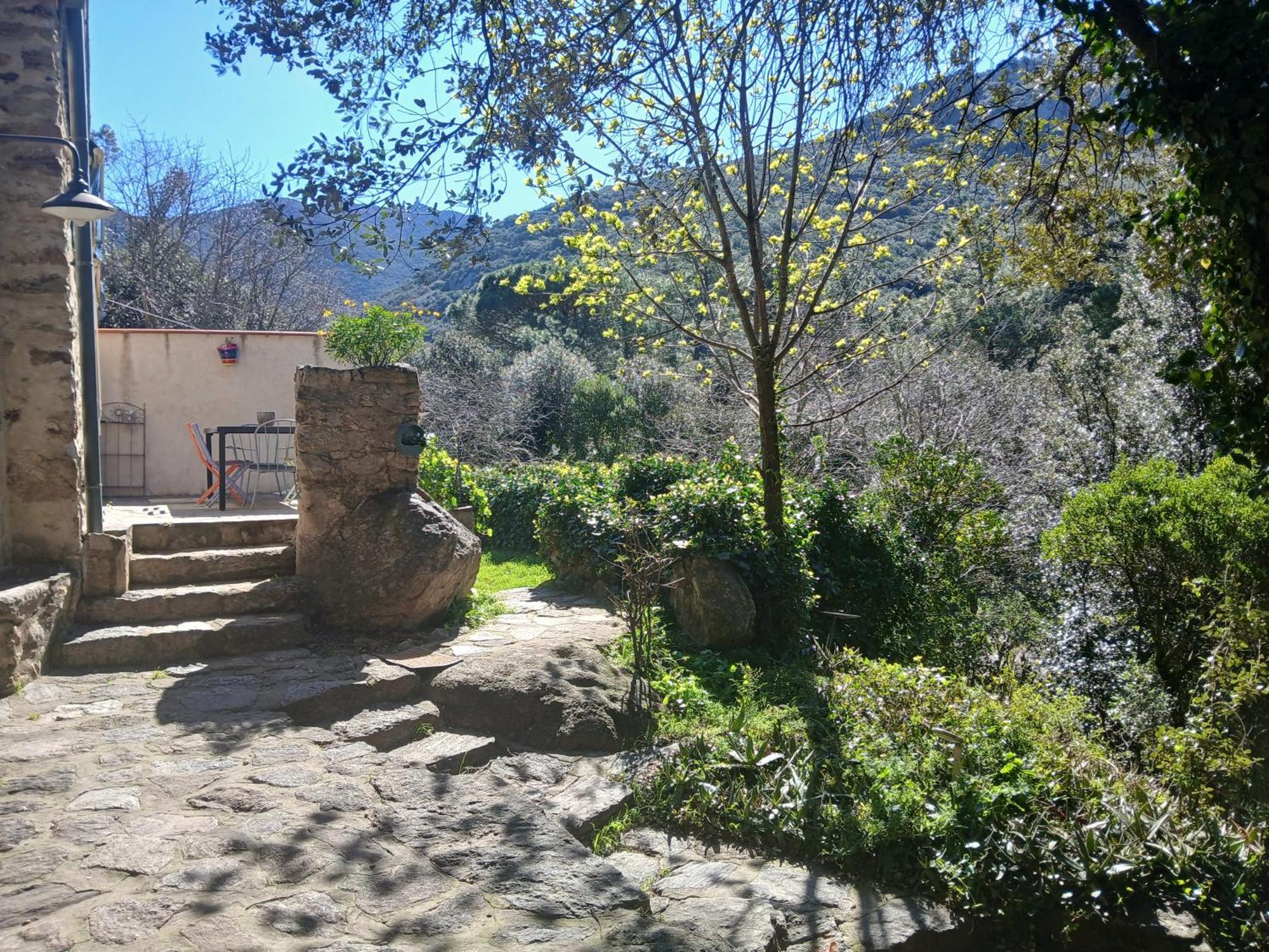 הוילה Sorède La Bergerie מראה חיצוני תמונה