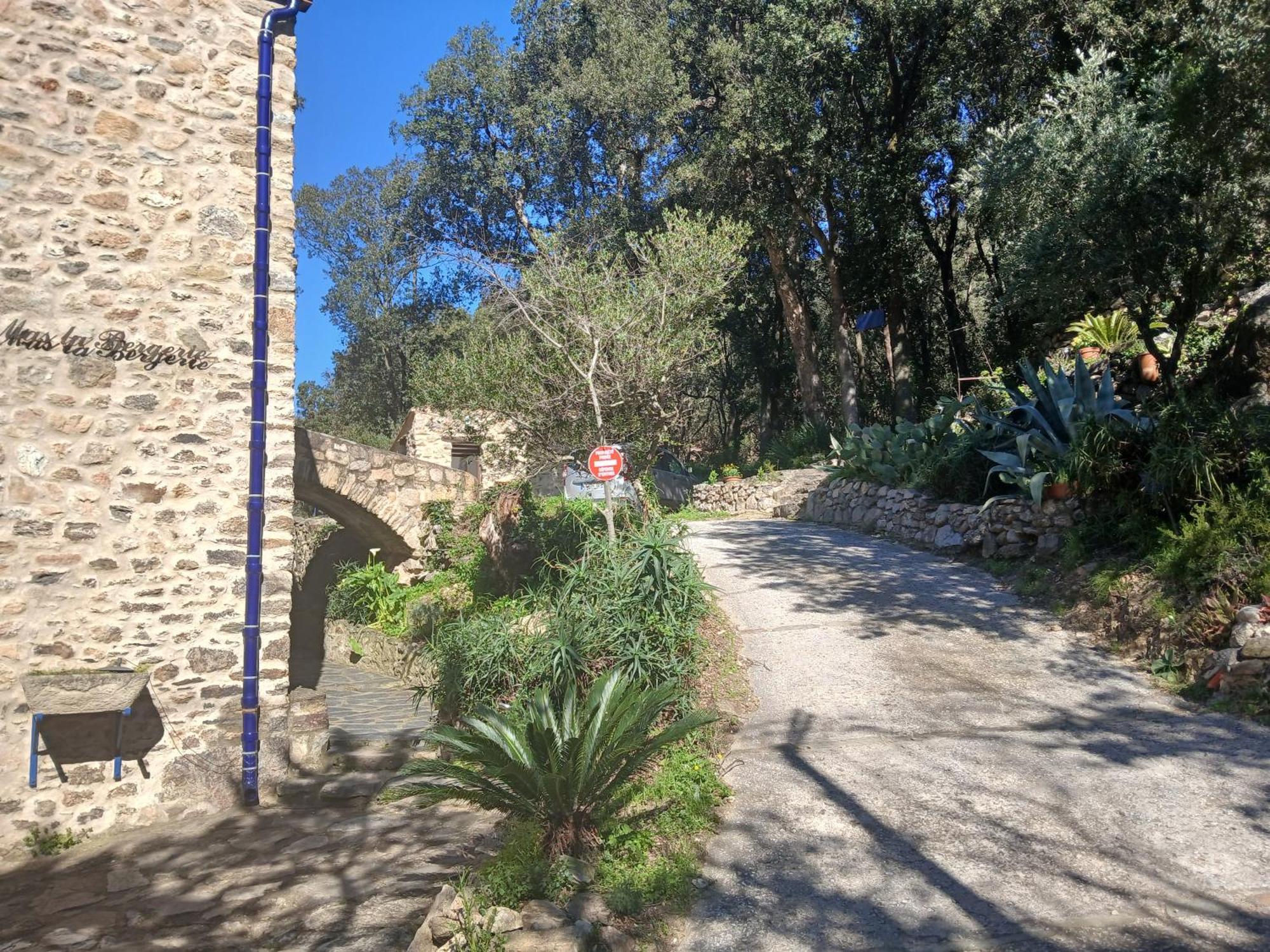 הוילה Sorède La Bergerie מראה חיצוני תמונה